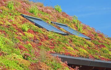 Chideock living roof systems