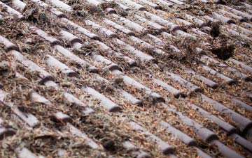 Chideock roof cleaning companies