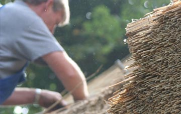 professional Chideock thatchers